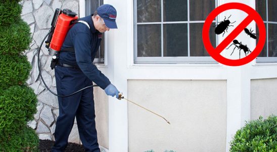 Sındırgı Böcek İlaçlama böcek ilaçlama ve haşere kontrolü — ilaclama-tr.com